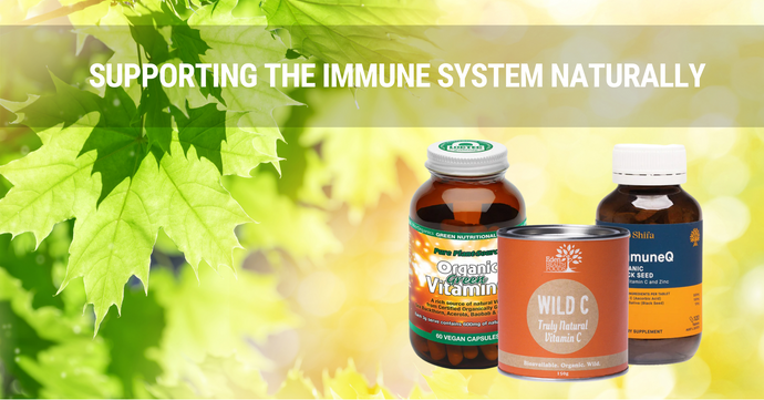 Supporting The Immune System Naturally