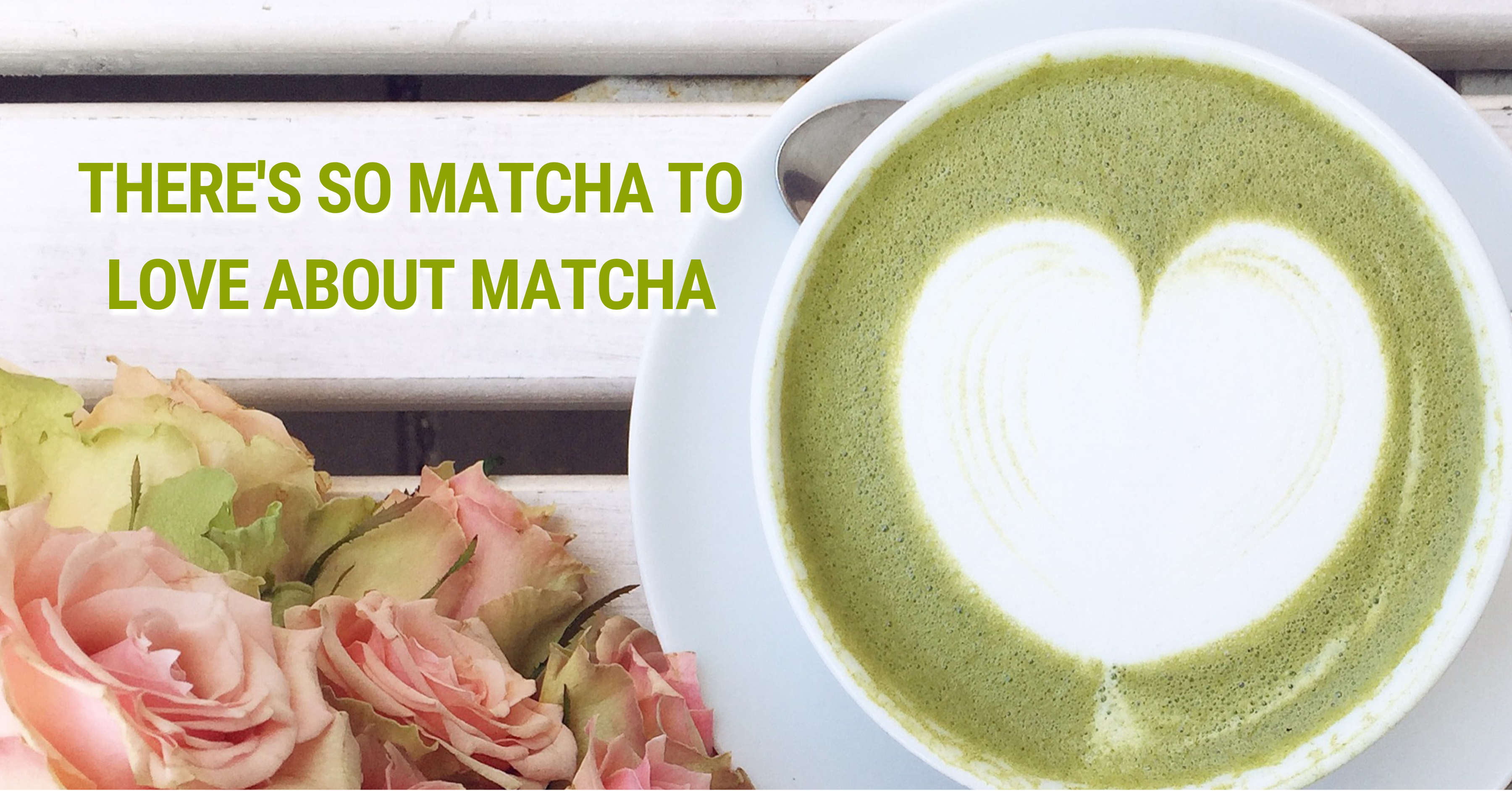 Matcha Lover