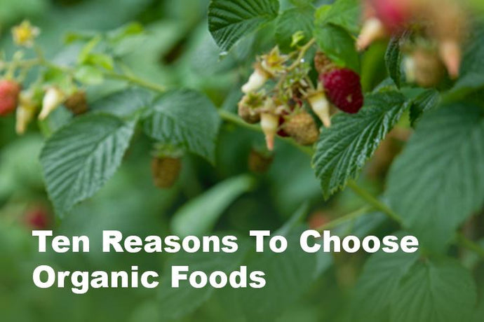 Ten Reasons to Choose Organic Food