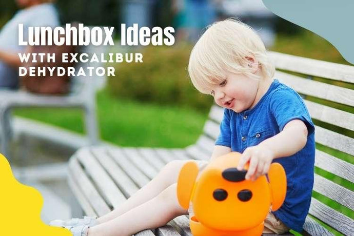 Lunchbox Ideas with Excalibur Dehydrators