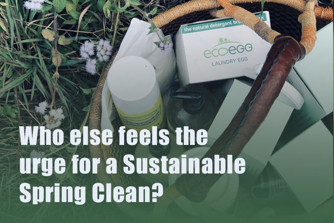 Who Else Feels the Urge for a Sustainable Spring Clean?
