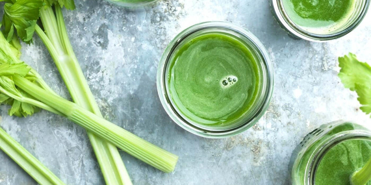 BENEFITS OF DRINKING CELERY JUICE AND THE BEST JUICER FOR IT