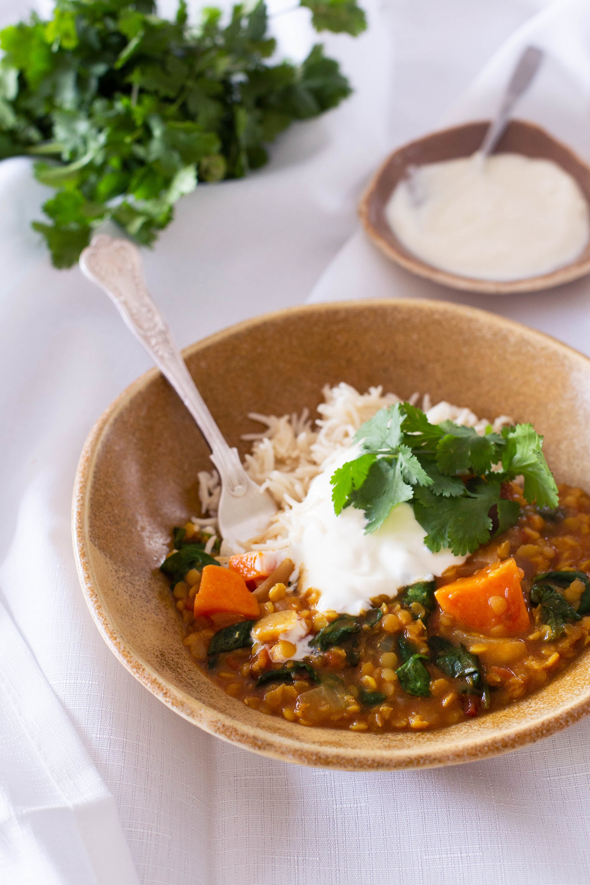Red Lentil And Sweet Potato Dahl